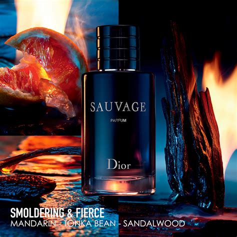 dior slogan 2020|sauvage Dior symbolism.